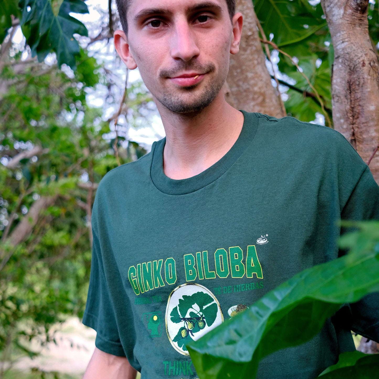 GINKO BILOBA TEE