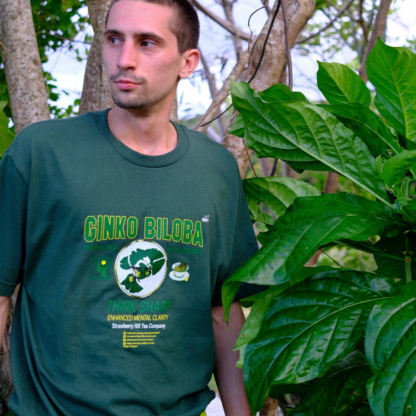 GINKO BILOBA TEE