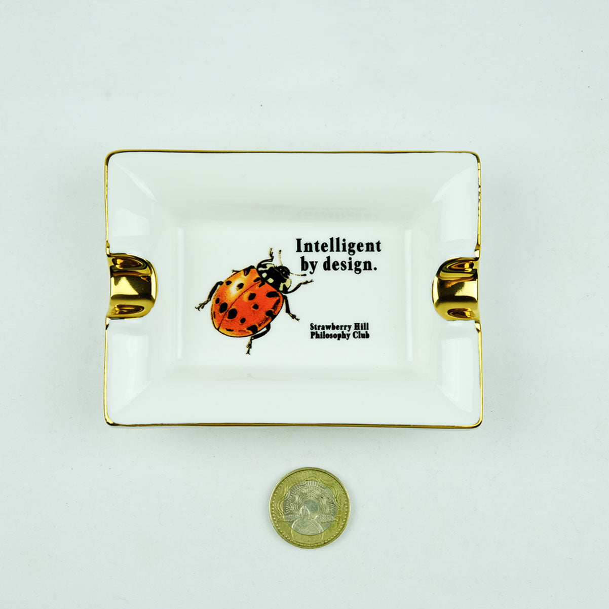 INTELLIGENT BY DESIGN CERAMIC TRAY