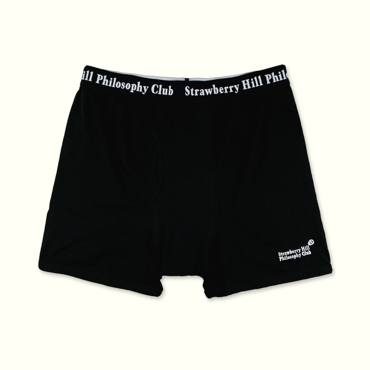 LOGO BOXER SHORTS (2-pack)