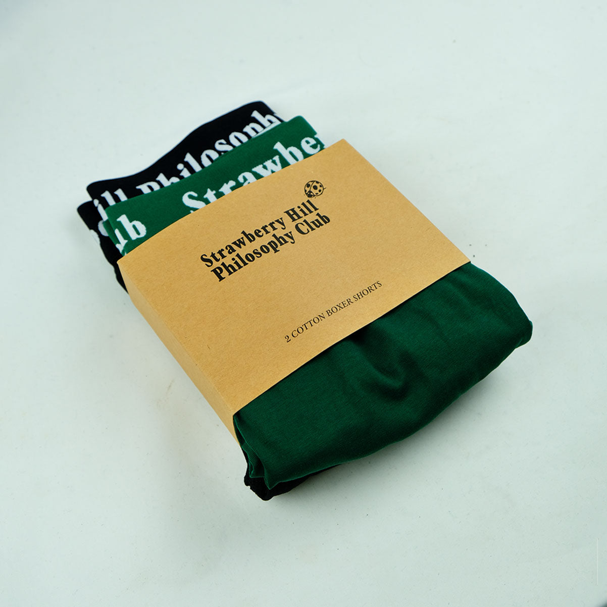 LOGO BOXER SHORTS (2-pack)