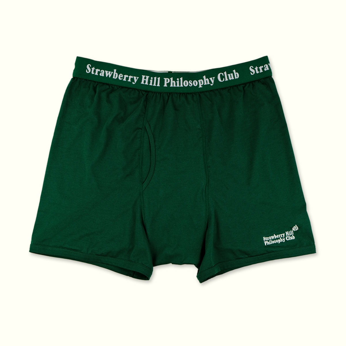 LOGO BOXER SHORTS (2-pack)