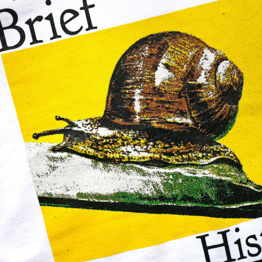 BRIEF HISTORY OF TIME MISPRINT