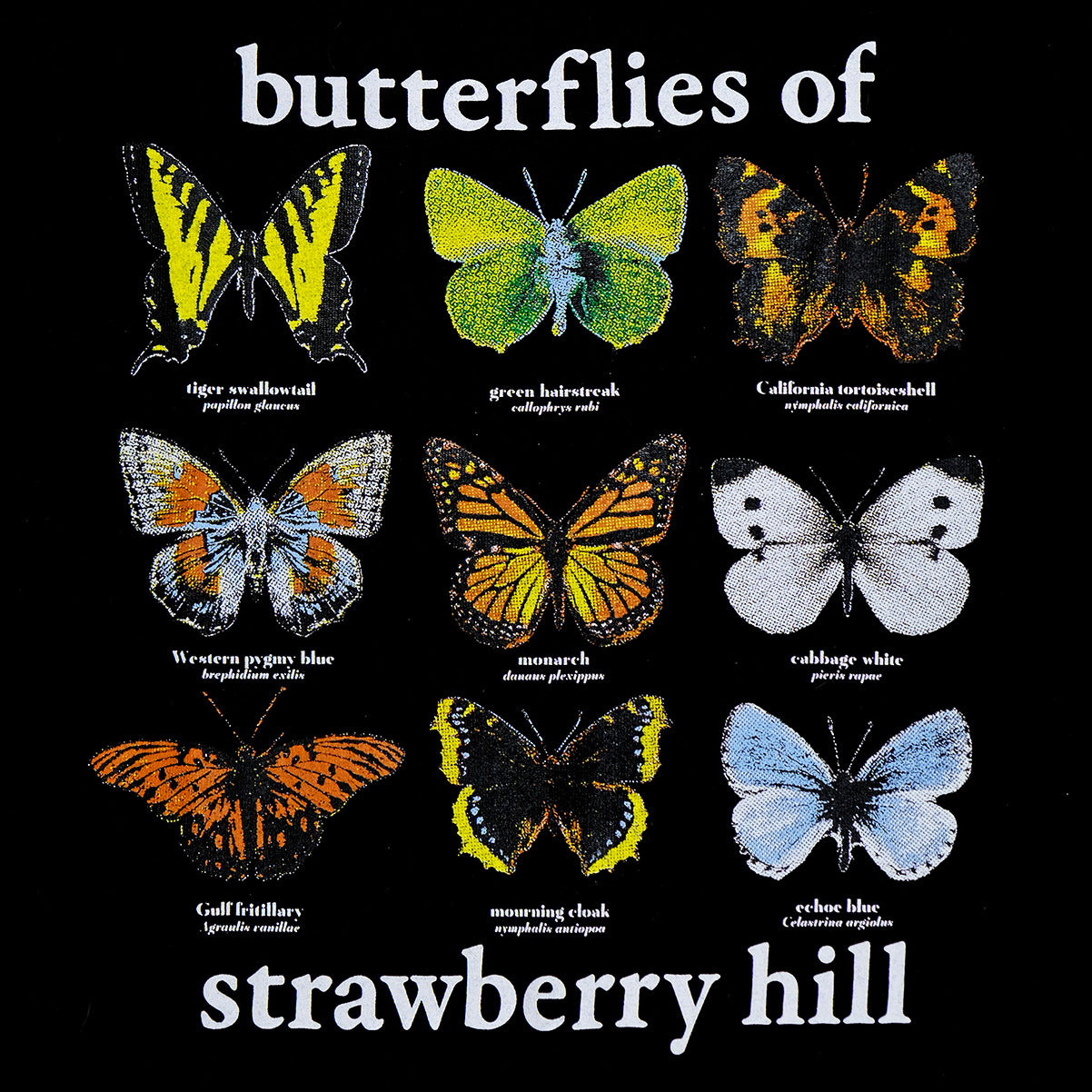 BUTTERFLIES OF STRAWBERRY HILL TEE