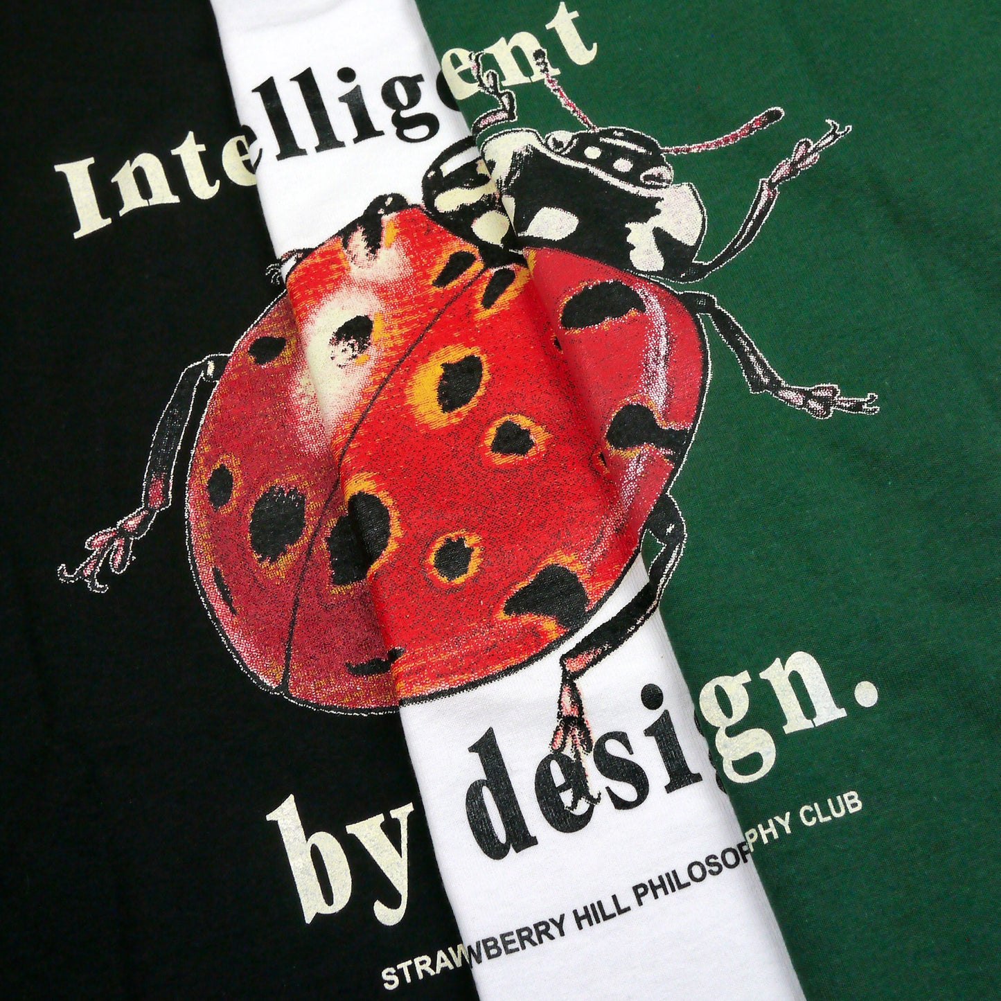 INTELLIGENT BY DESIGN HOODIE