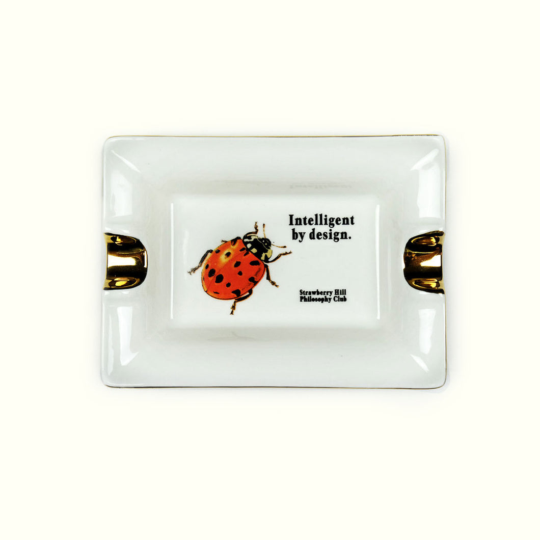 INTELLIGENT BY DESIGN CERAMIC TRAY