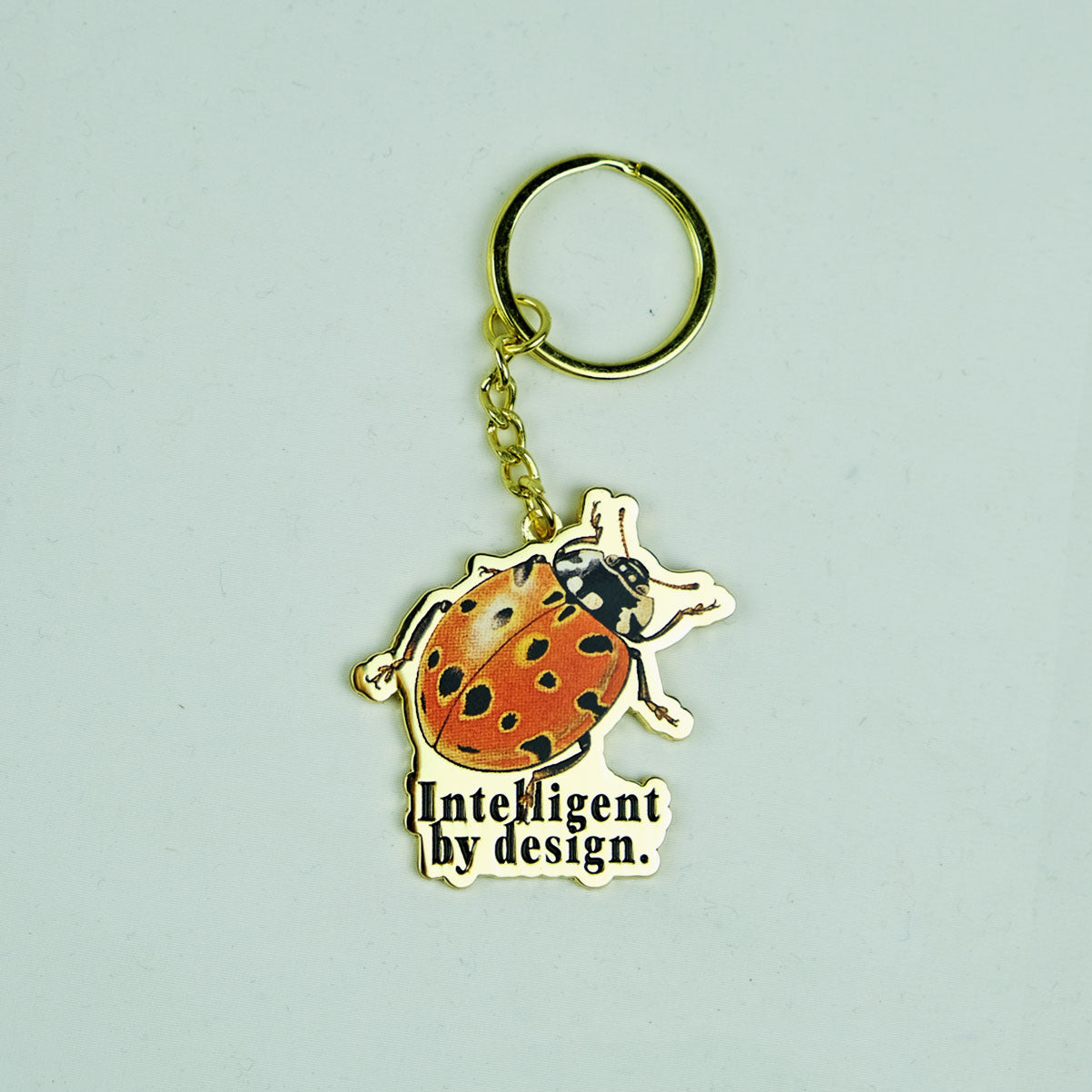 INTELLIGENT BY DESIGN KEYCHAIN
