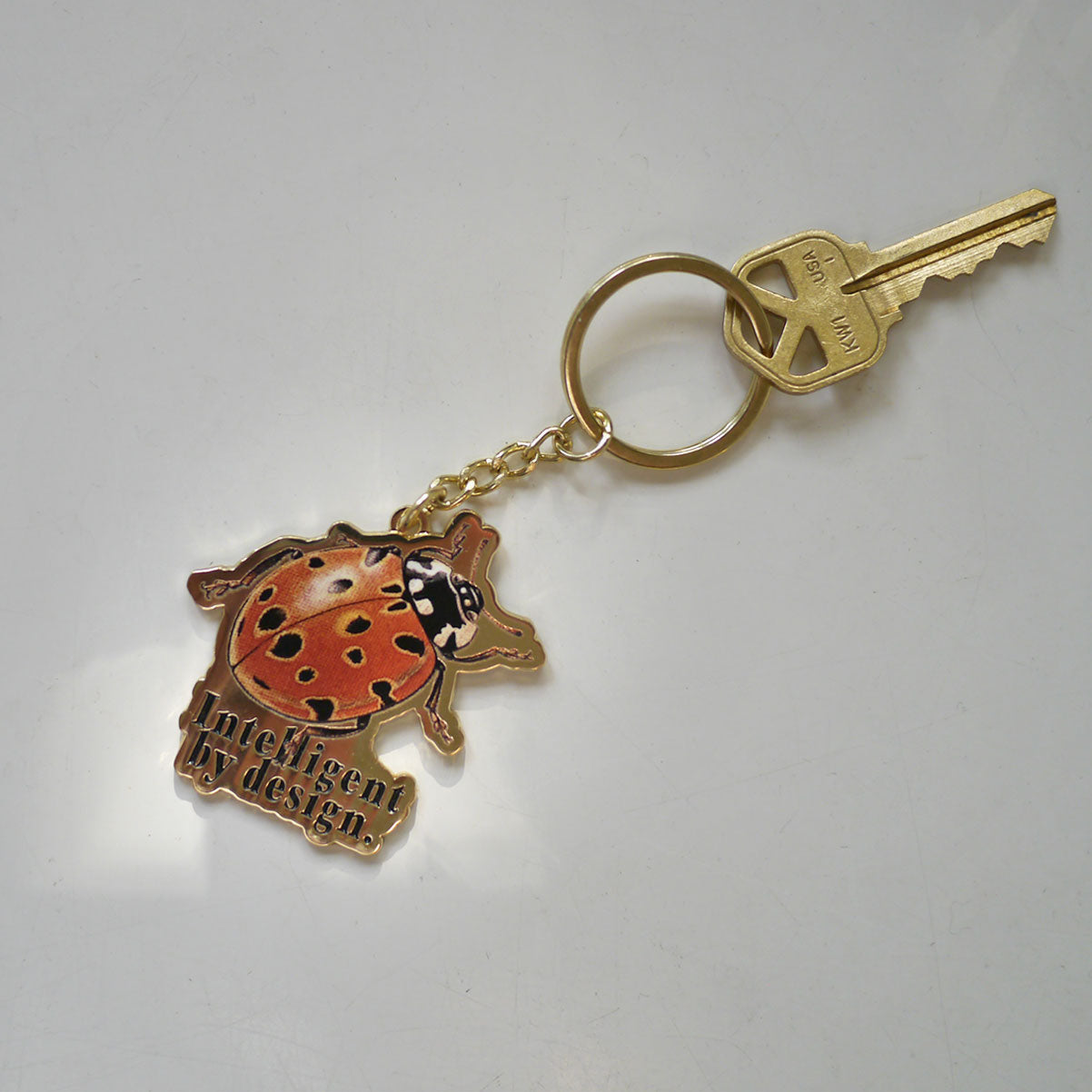 INTELLIGENT BY DESIGN KEYCHAIN