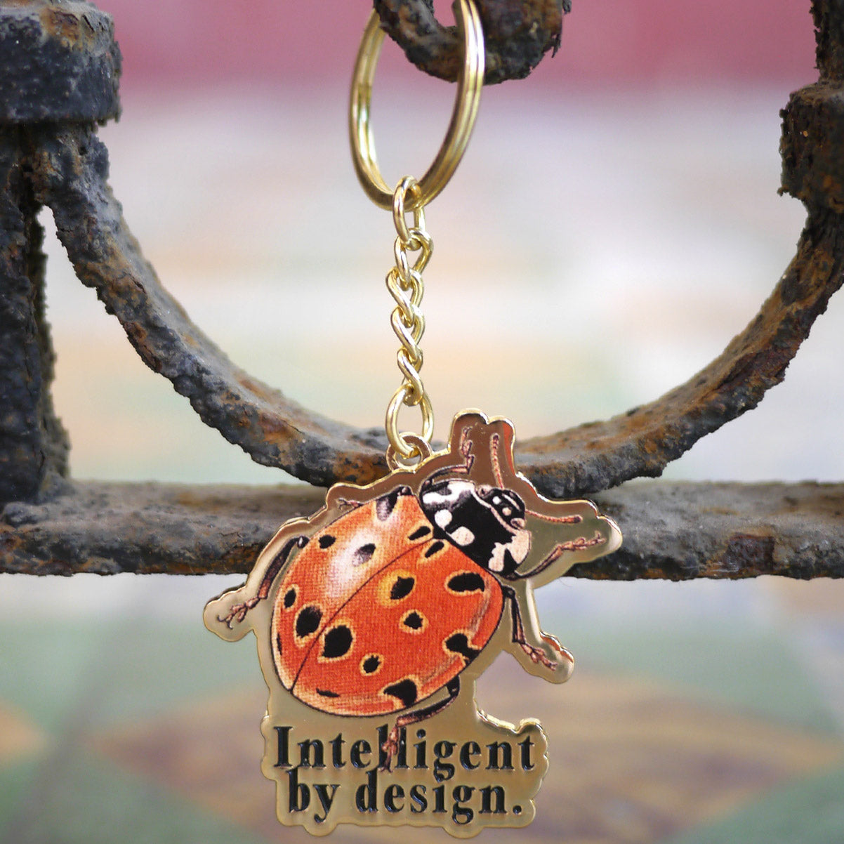 INTELLIGENT BY DESIGN KEYCHAIN
