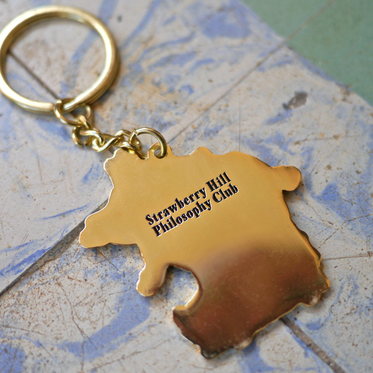 INTELLIGENT BY DESIGN KEYCHAIN