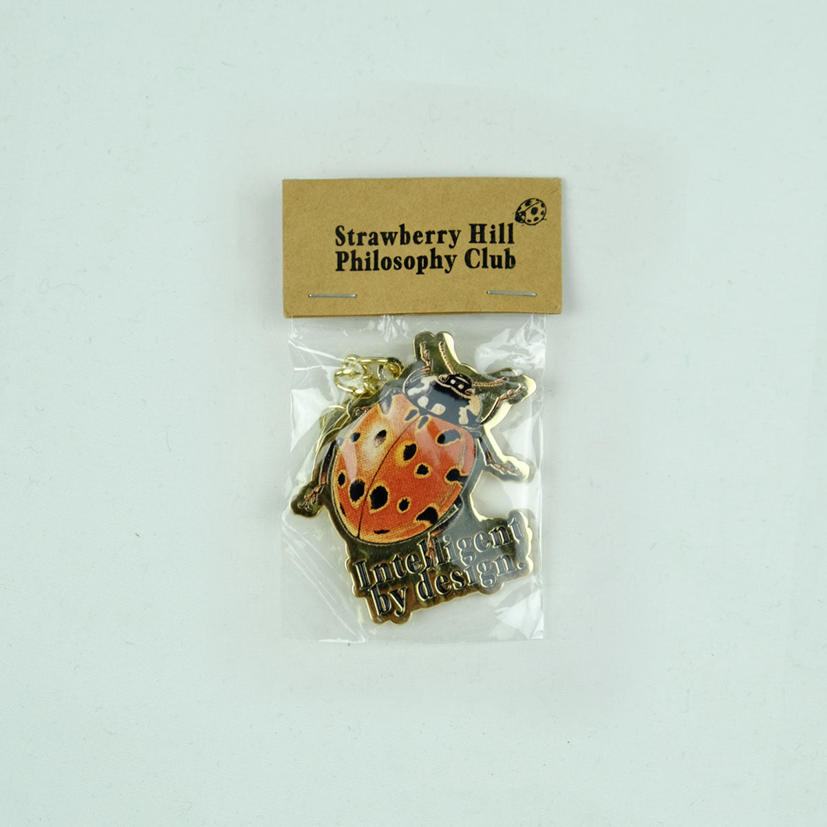 INTELLIGENT BY DESIGN KEYCHAIN