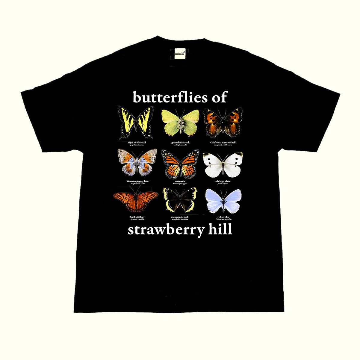 BUTTERFLIES OF STRAWBERRY HILL TEE – Strawberryhillphilosophyclub